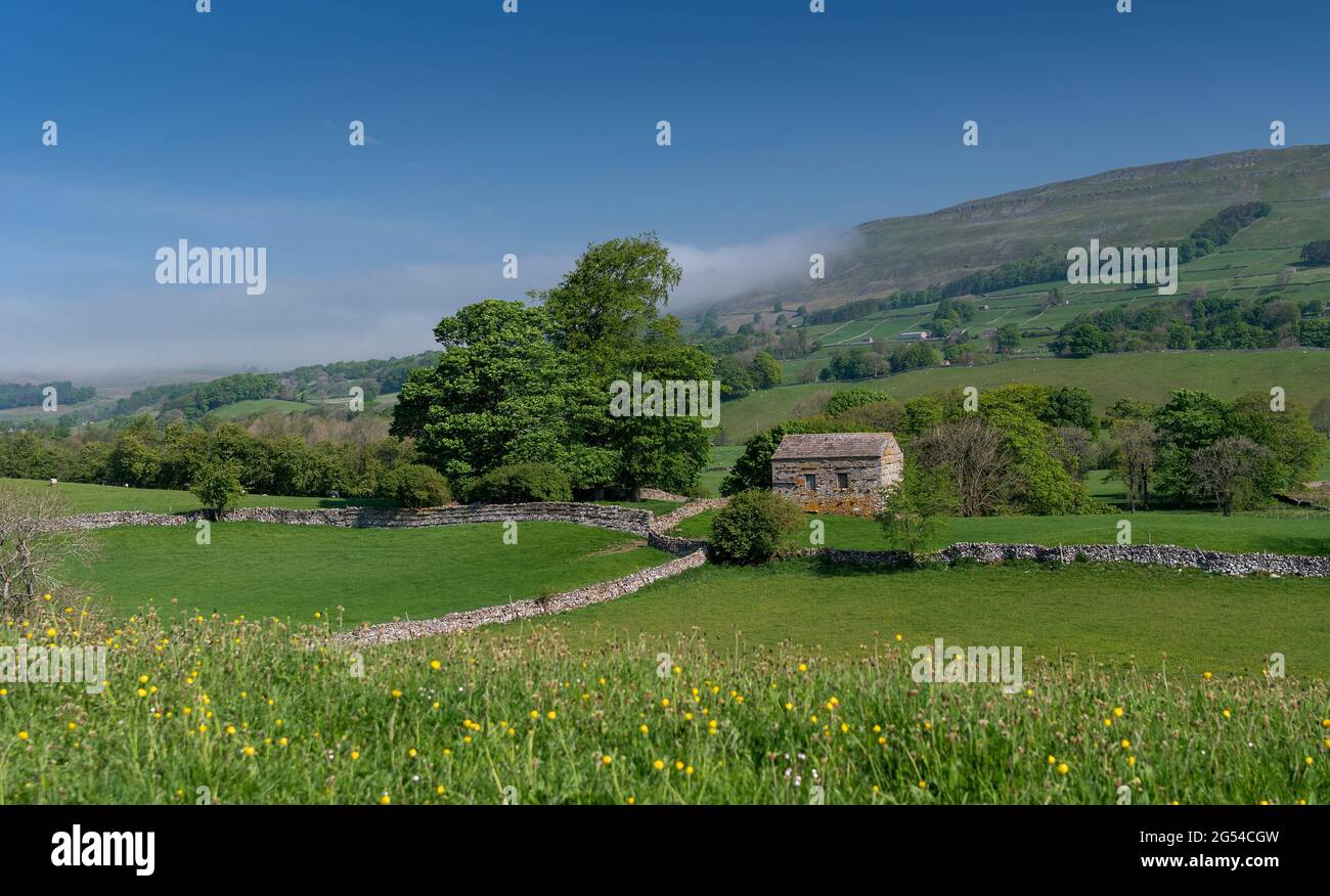 Granaio di pietra in prato in tarda primavera, con nebbia che si alzava da Staggs cadde. Wensleydale, North Yorkshire, Regno Unito. Foto Stock