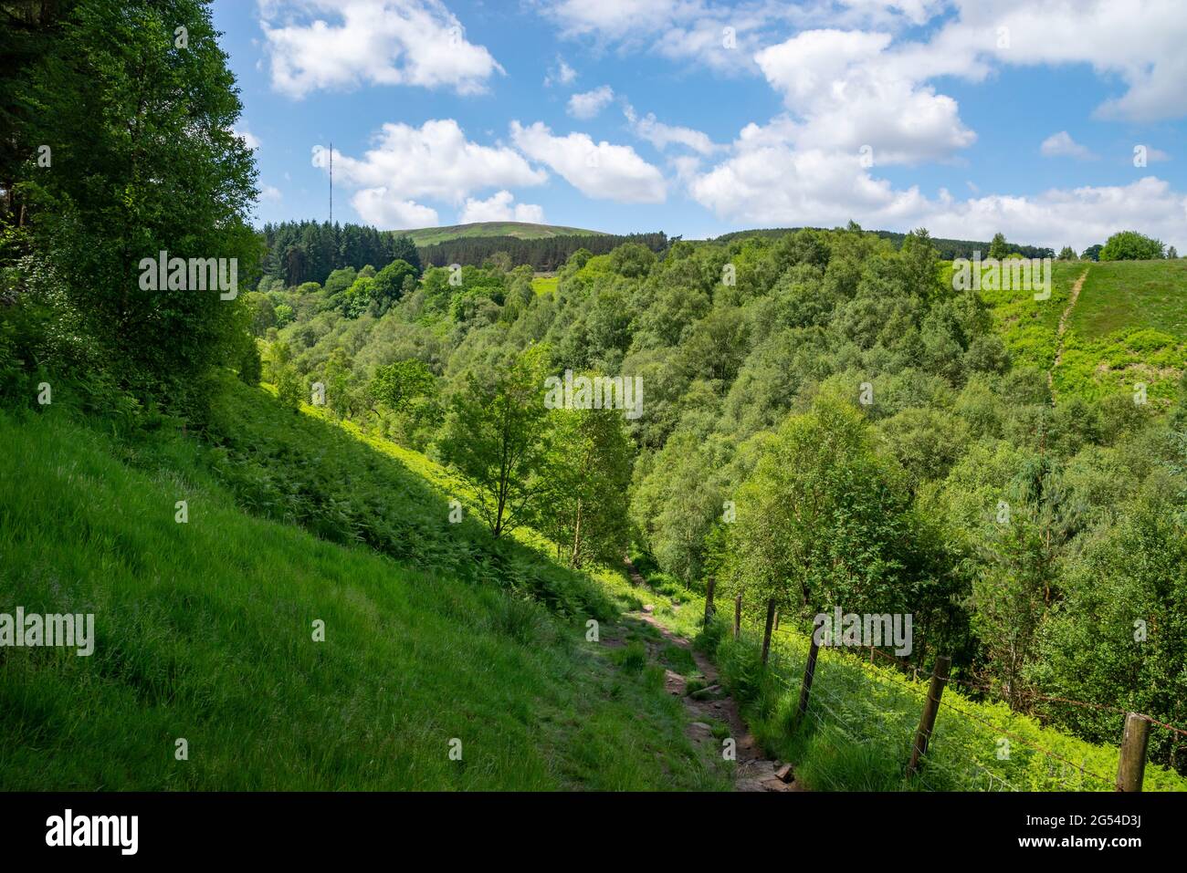 Sezione della passeggiata intorno ai serbatoi tra Holmfirth e le colline Pennine nel West Yorkshire, Inghilterra del Nord. Holme Moss dietro. Foto Stock