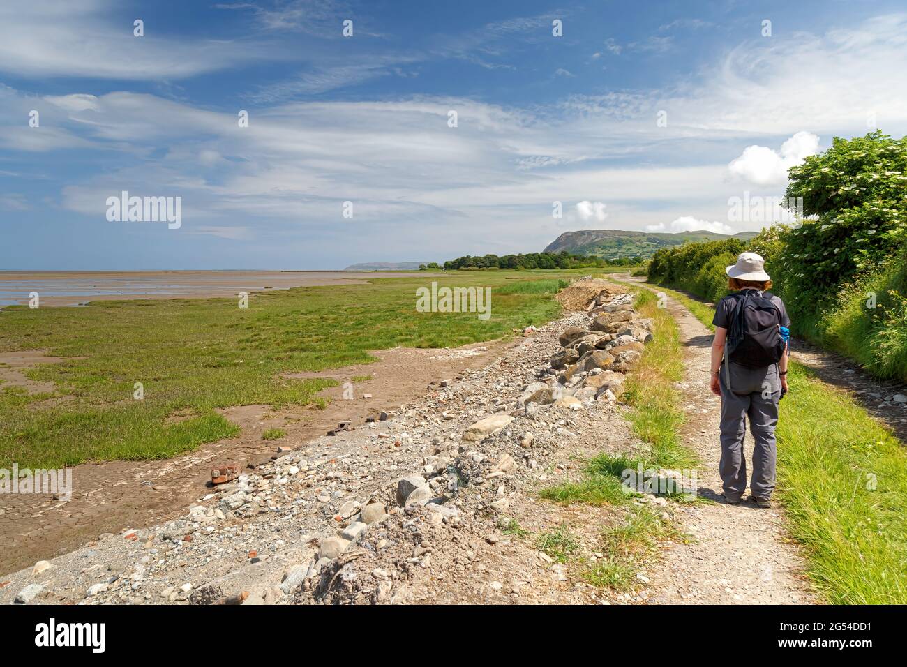 Una sola donna camminando lontano dalla vista lungo il Wales Coastal Path a Llanfairfechan Foto Stock