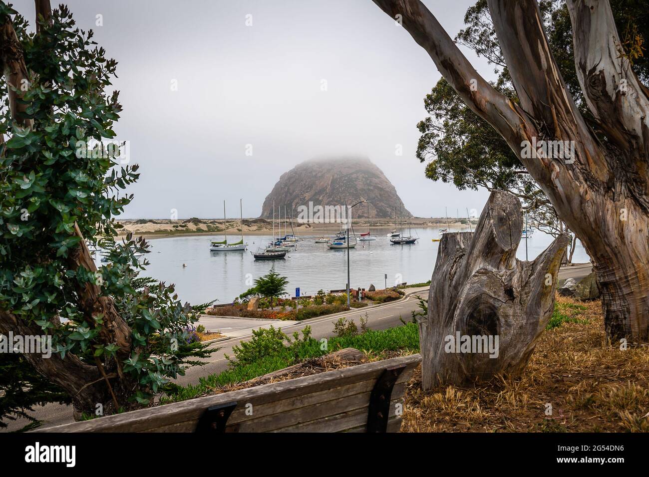 Morro Bay State Park Foto Stock