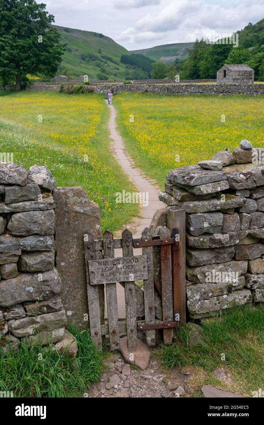 Stilla attraverso un muro di pietra arenaria su un sentiero attraverso i prati di fiori selvatici Muker, Yorkshire Dales National Park, Regno Unito. Foto Stock