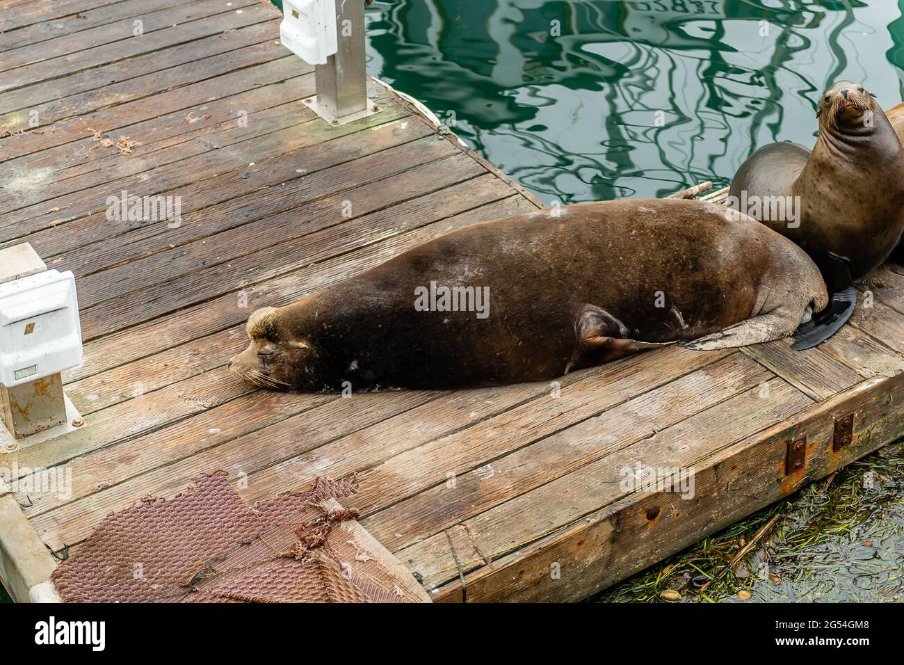 Morro Bay State Park Foto Stock