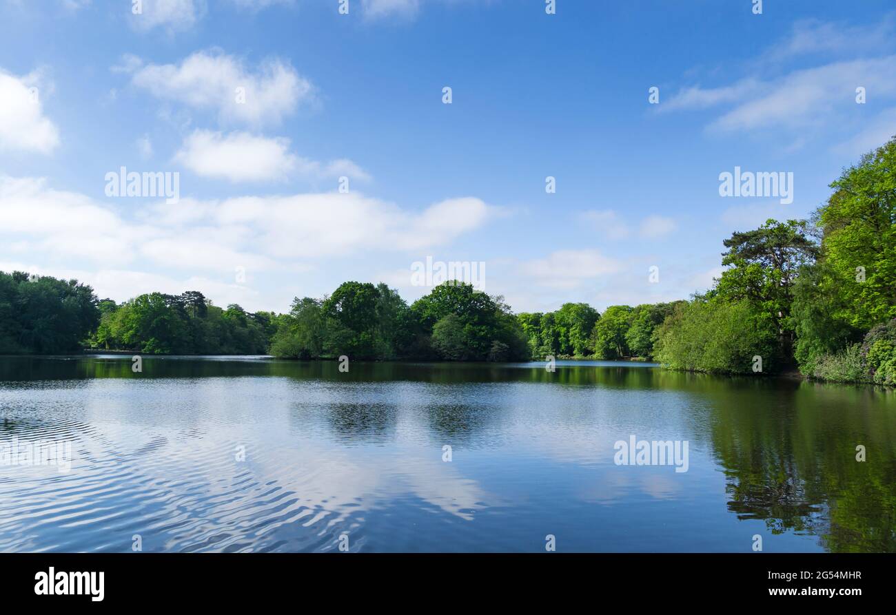 Vista sul lago all'Hartsholme Country Park Lincoln 2021 Foto Stock