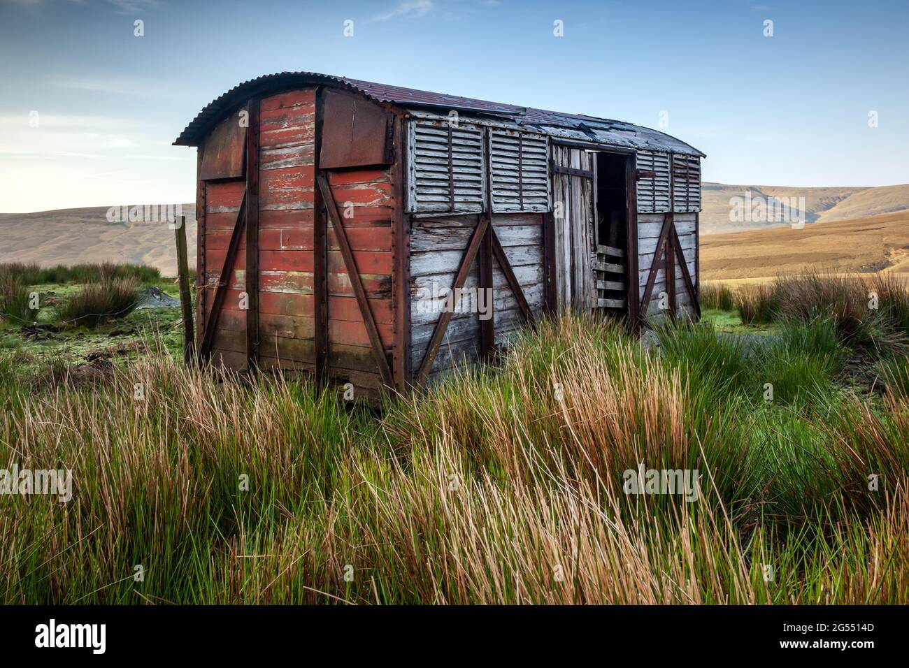 Un vecchio furgone ferroviario utilizzato come rifugio per pecore in alto nello Yorkshire Dales. Foto Stock