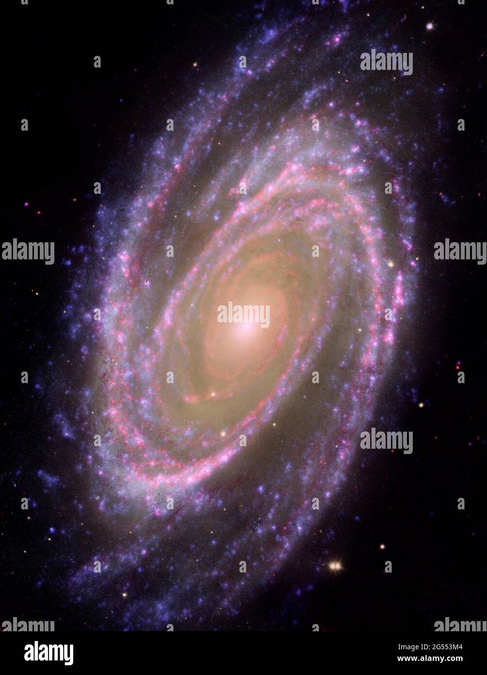 SPAZIO ESTERNO -- Hubble/GALEX/Spitzer immagine composita di Galaxy M81 - Foto: Geopix/ESA/NASA Foto Stock