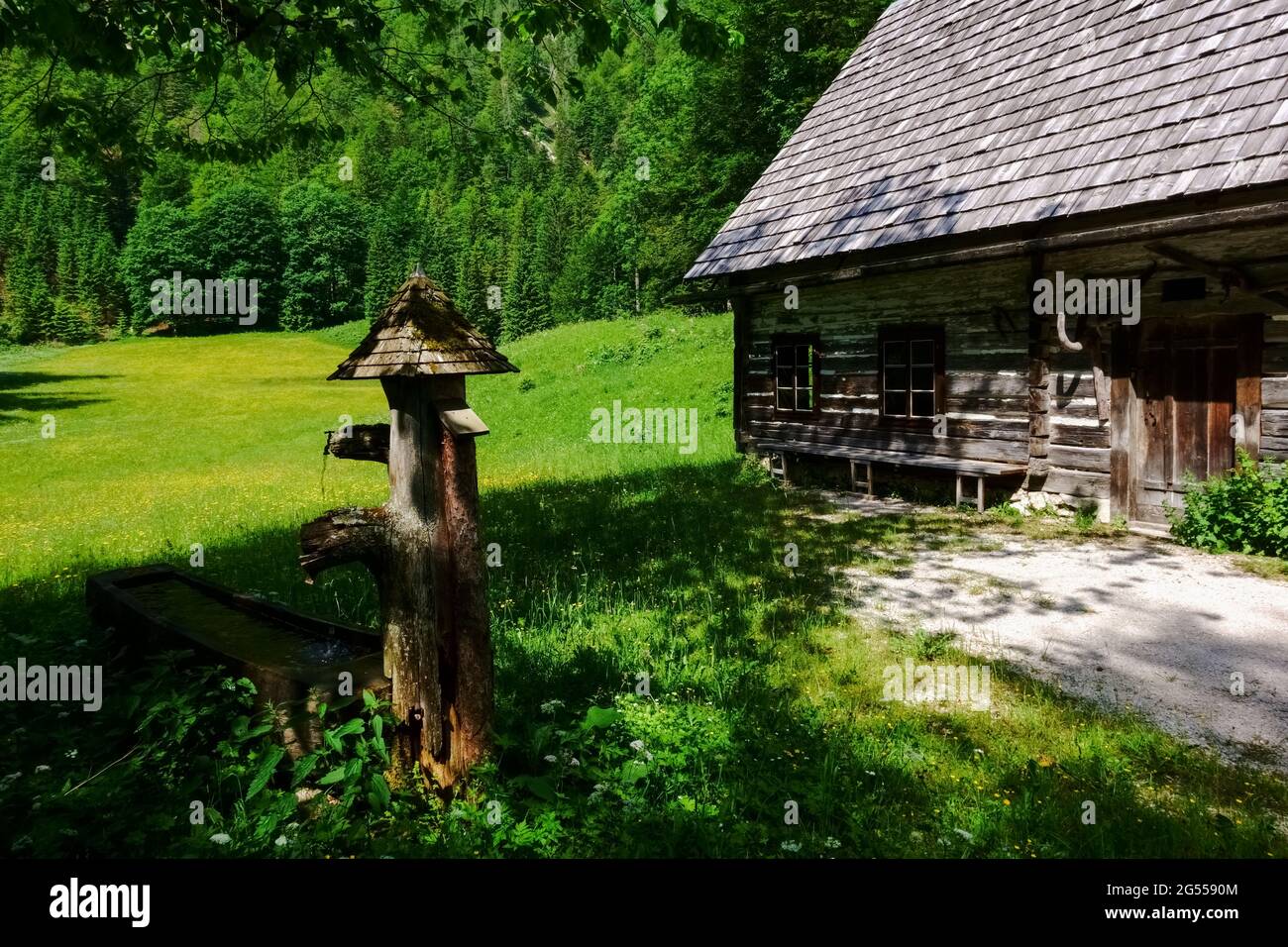 fontana di legno vicino a una capanna alpina su un prato verde durante le escursioni Foto Stock