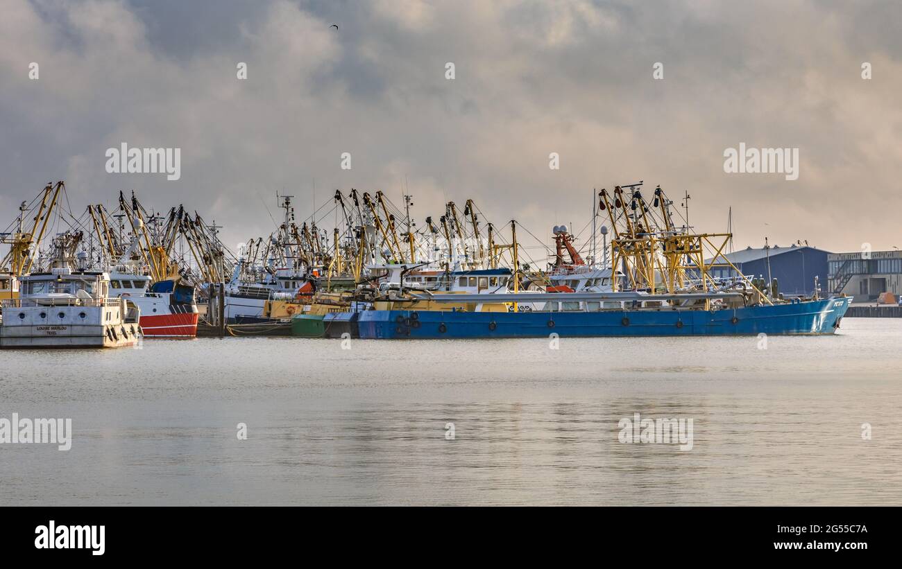 Lauwersoog porti una delle più grandi flotte da pesca dei Paesi Bassi. La pesca si concentra principalmente sulla cattura di cozze, ostriche, gamberi e Foto Stock