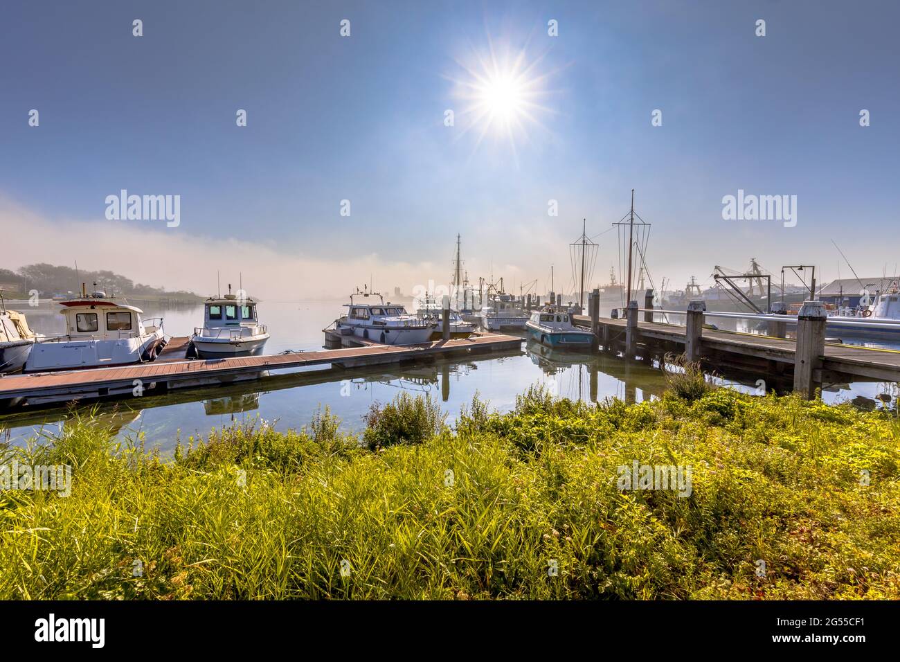 Varie navi ormeggiate su una banchina di legno nel porto di Haringvliet Inlet, provincia della Zelanda Paesi Bassi. Foto Stock