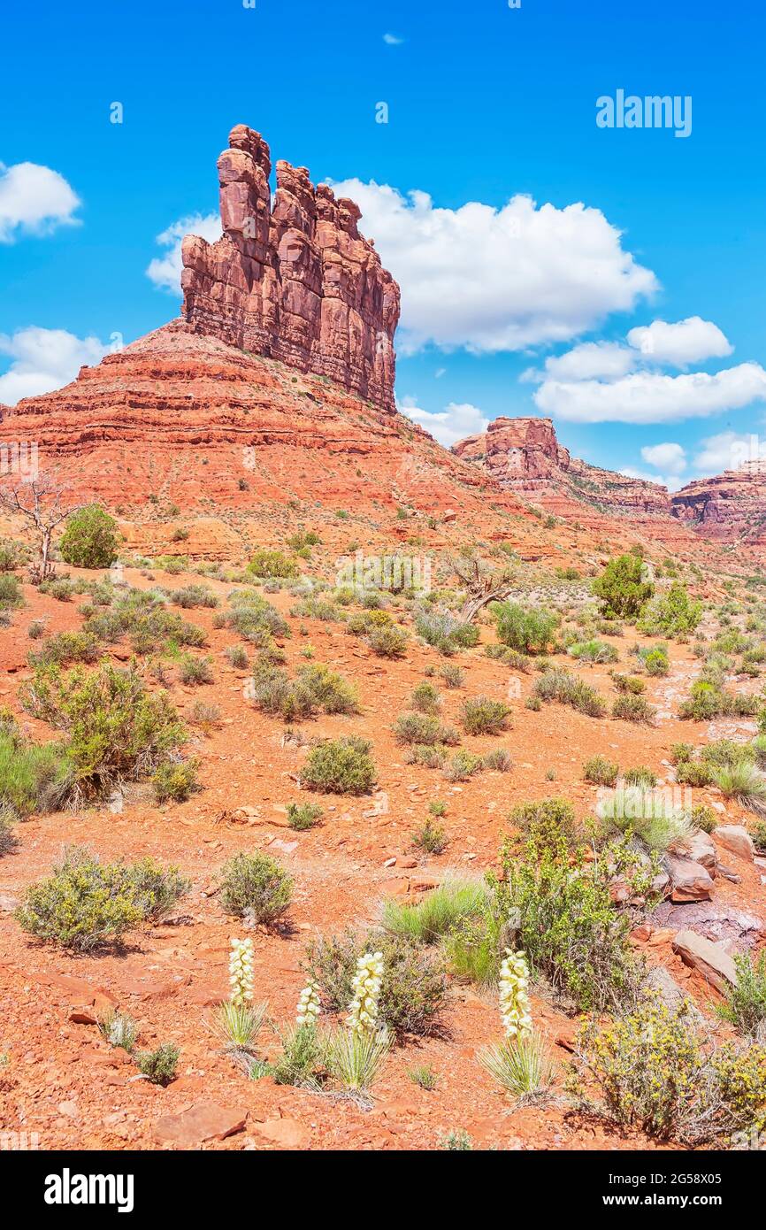 Valle degli dei, Utah, Stati Uniti, Foto Stock