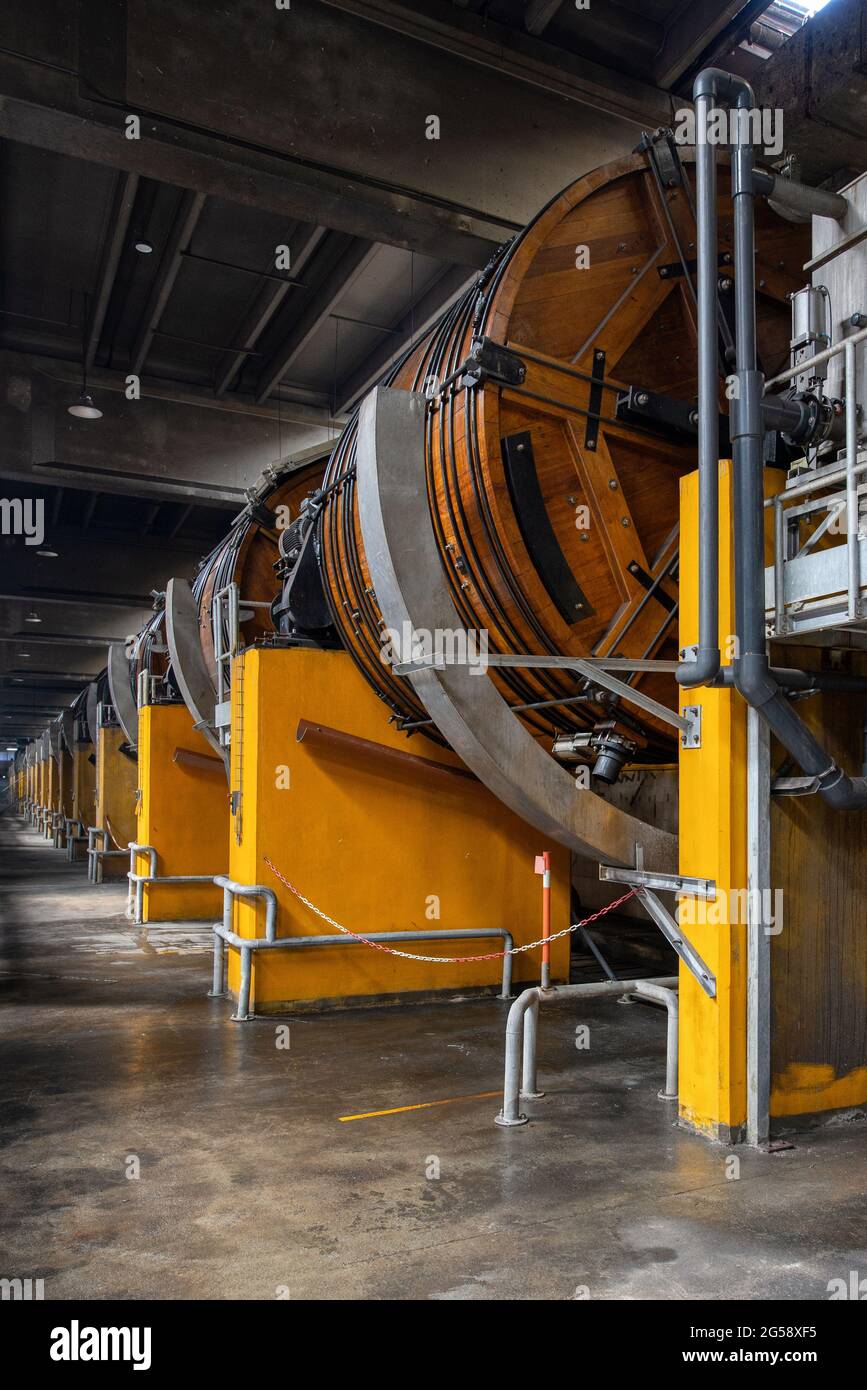 Officina di cuoio. Grandi barili in legno per la concia di cuoio bovino Foto Stock