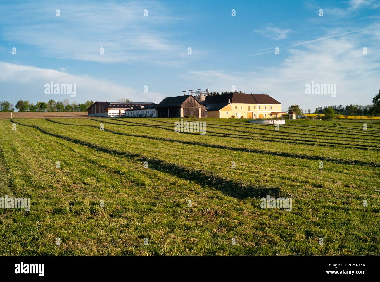 Agriturismo Vierkanter nella regione Mostviertel o Must Quarter della bassa Austria vicino Amstetten Foto Stock