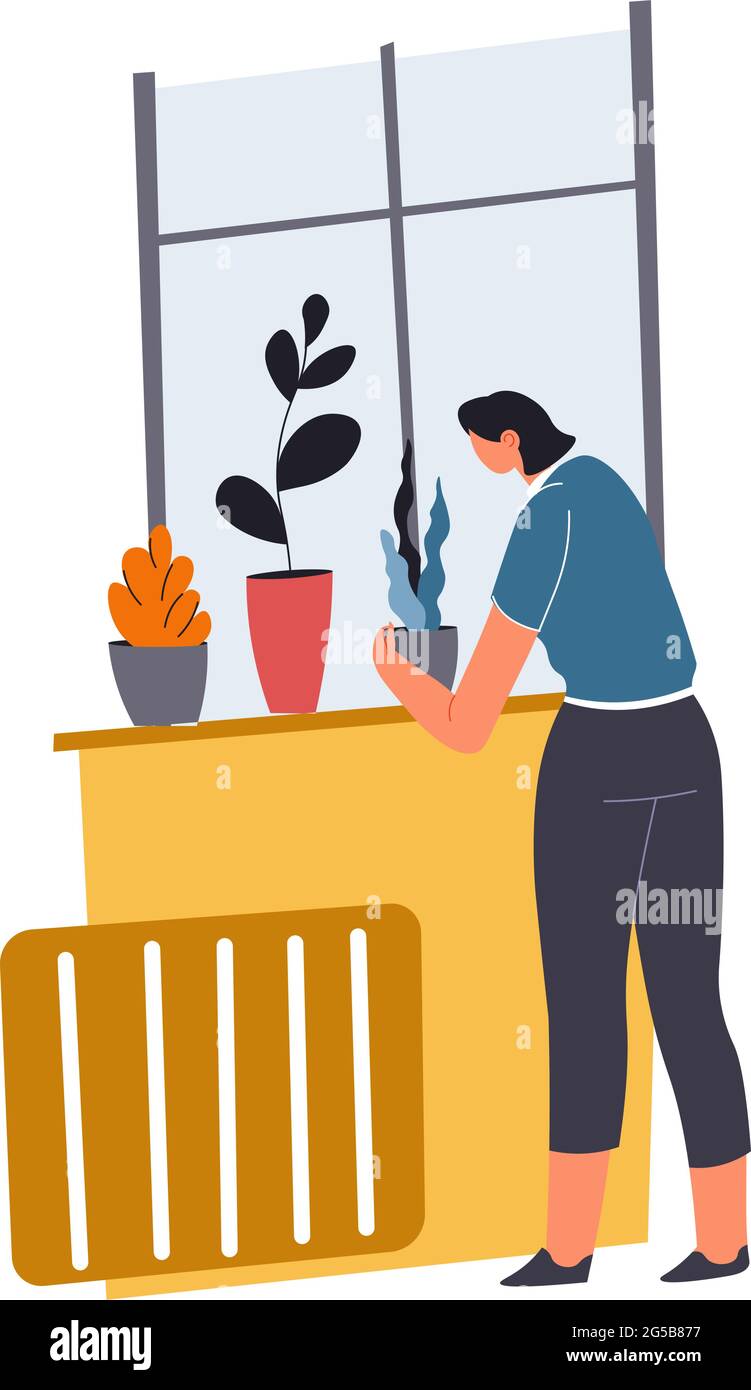Donna che pulisce casa che si prende cura di piante in pentole Illustrazione Vettoriale