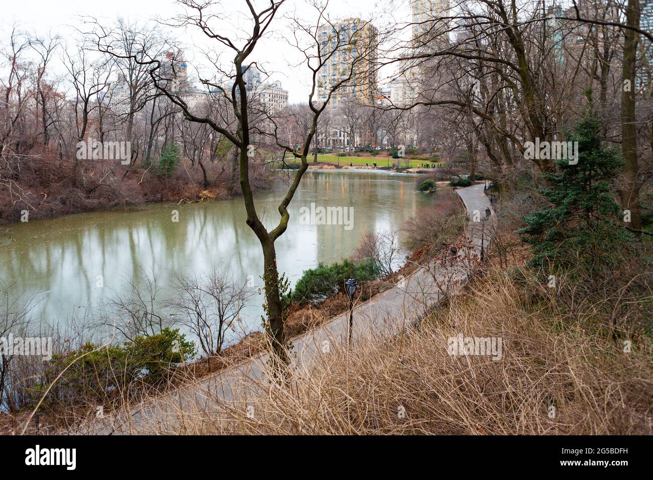 Lo stagno a Central Park in inverno, New York City Foto Stock