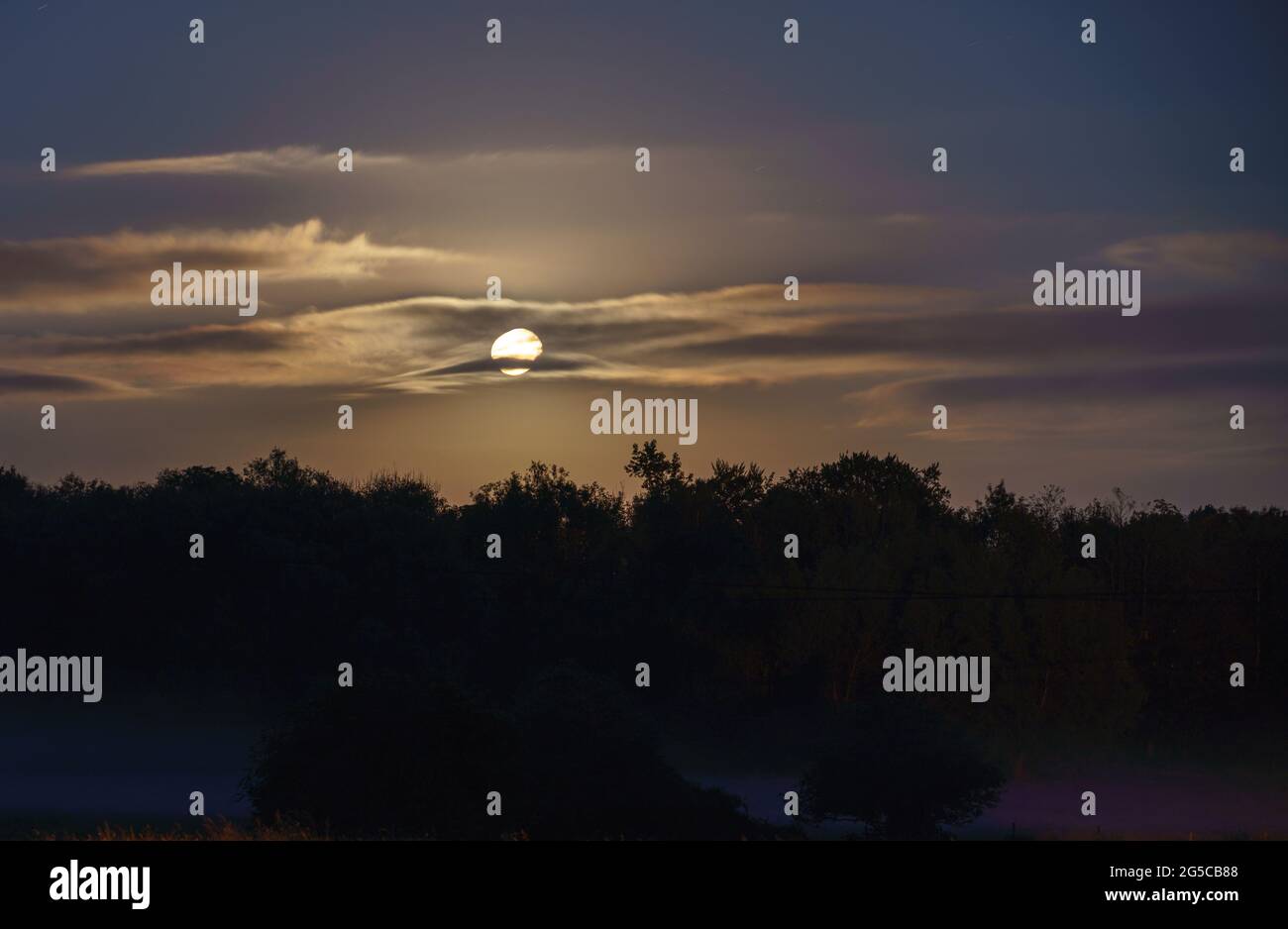 Una gibbosa luna di fragola con una bella nuvola ombra bassa nel cielo sopra un treeline Foto Stock