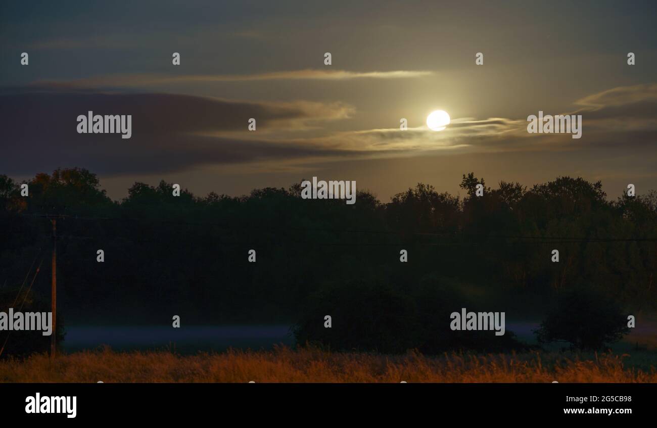 Una gibbosa luna di fragola con una bella nuvola ombra bassa nel cielo sopra un treeline Foto Stock