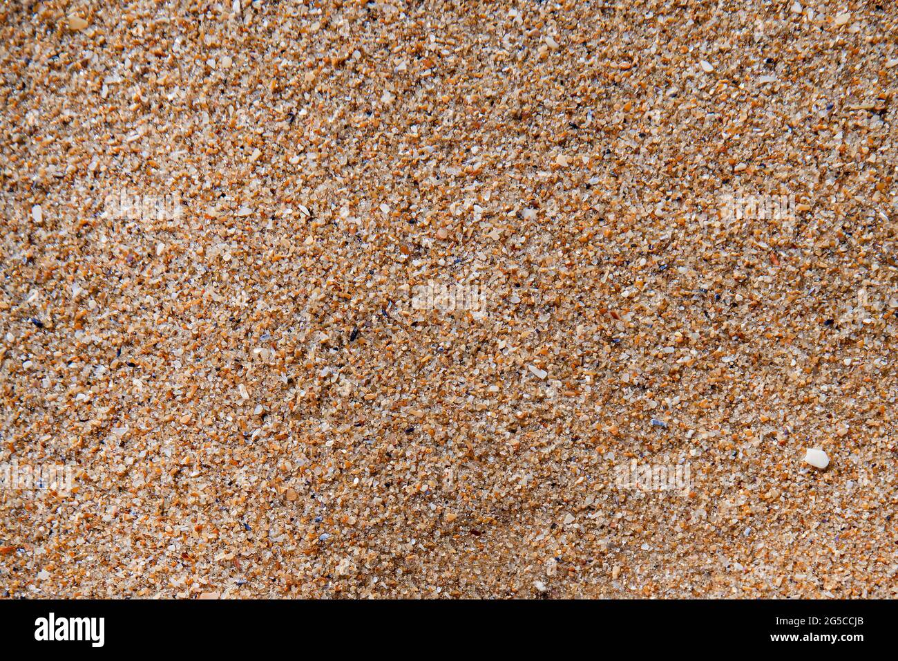 Texture di sabbia bagnata vista in primo piano Foto Stock