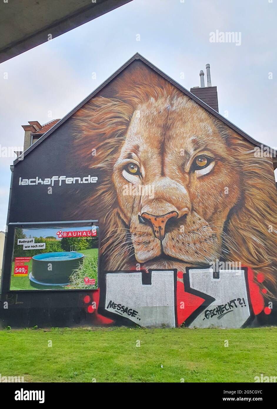 Un grande Lion faccia - Street art Foto Stock