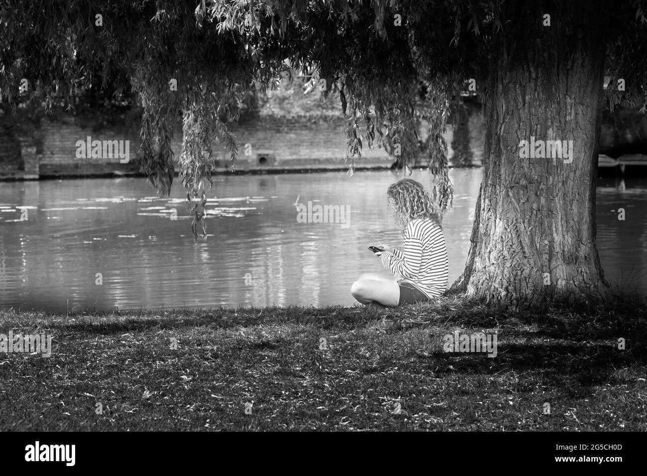 Una studentessa si siede con il suo telefono sotto un albero salice vicino al fiume Cam, Cambridge, Inghilterra. Foto Stock