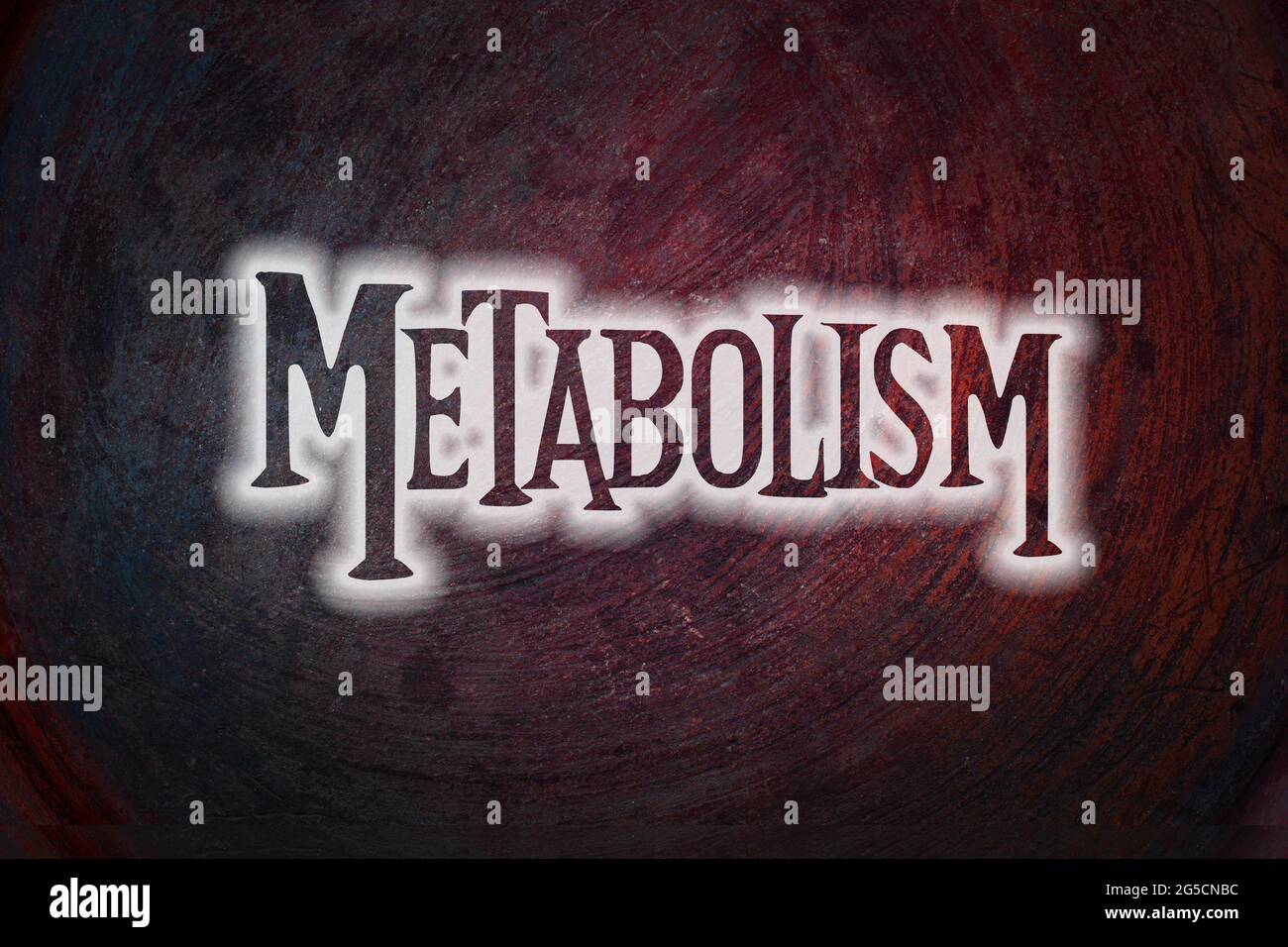 Testo del metabolismo sullo sfondo Foto Stock