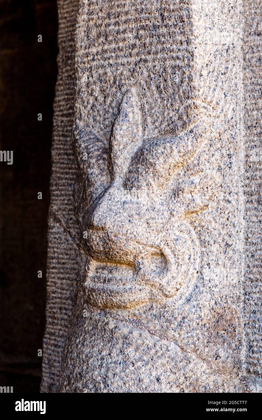 Colonne con guardie leoni del Bhima Ratha, uno dei Pancha Rathas (cinque Rathas) di Mamallapuram, un sito patrimonio dell'umanità dell'UNESCO a Tamil Nadu, Sout Foto Stock