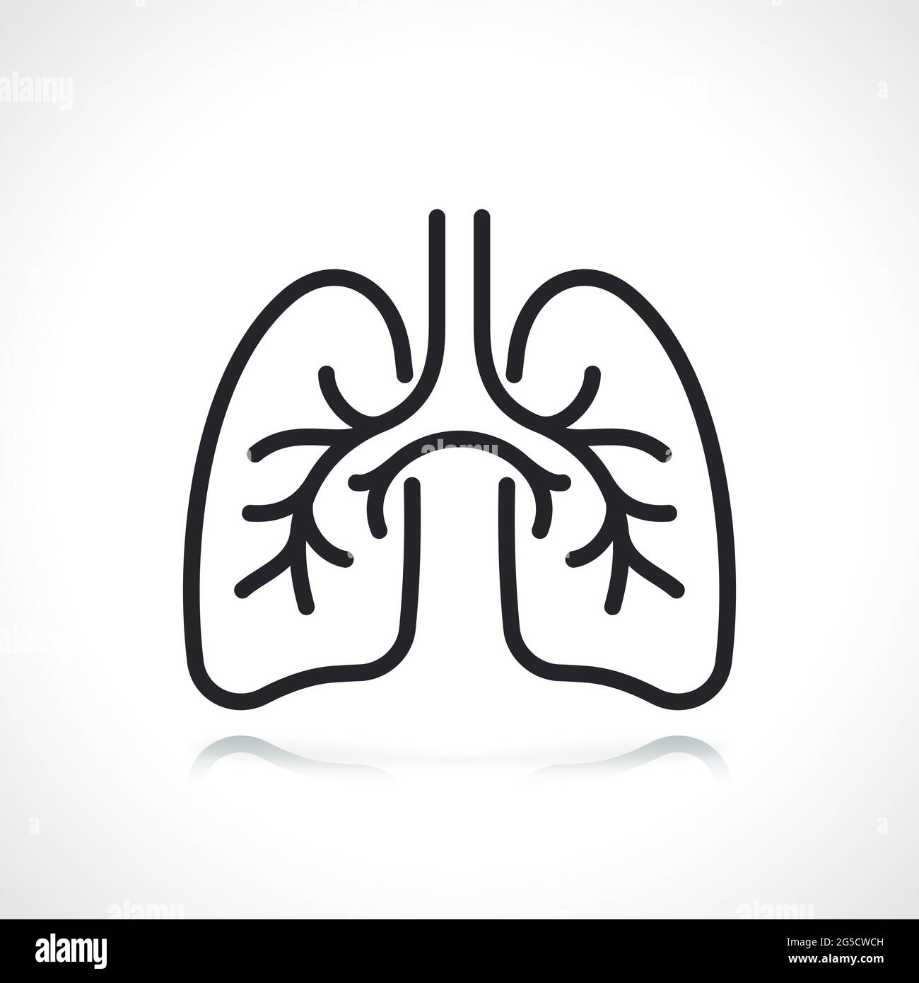 polmoni umani, icona di linea sottile dell'organo isolata Illustrazione Vettoriale