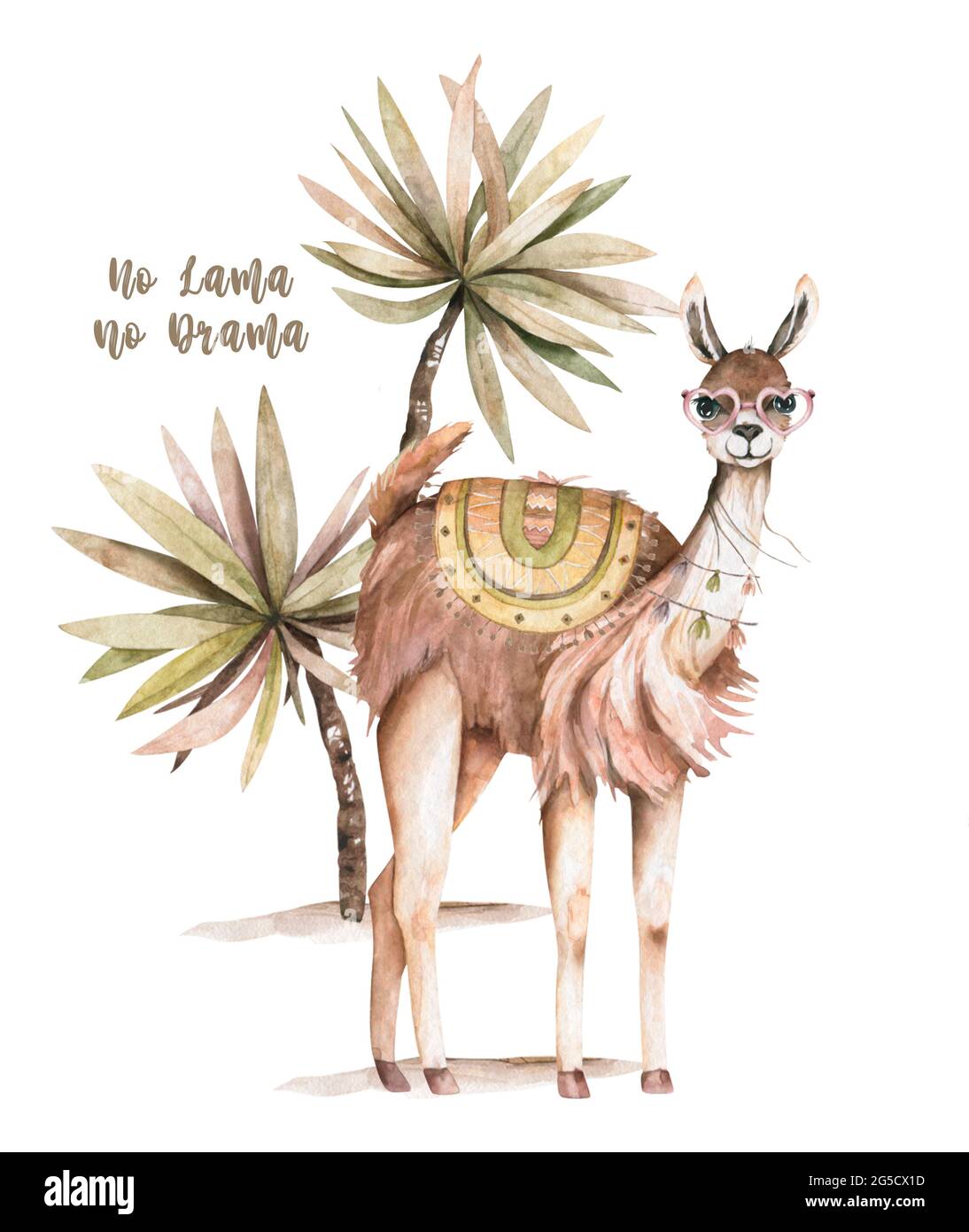 Simpatici personaggi di llamas alpaca sorridenti, a piedi, nel paesaggio desertico del Perù con cactus. Mexican divertente lama animale collezione famiglia isolato su bianco Foto Stock