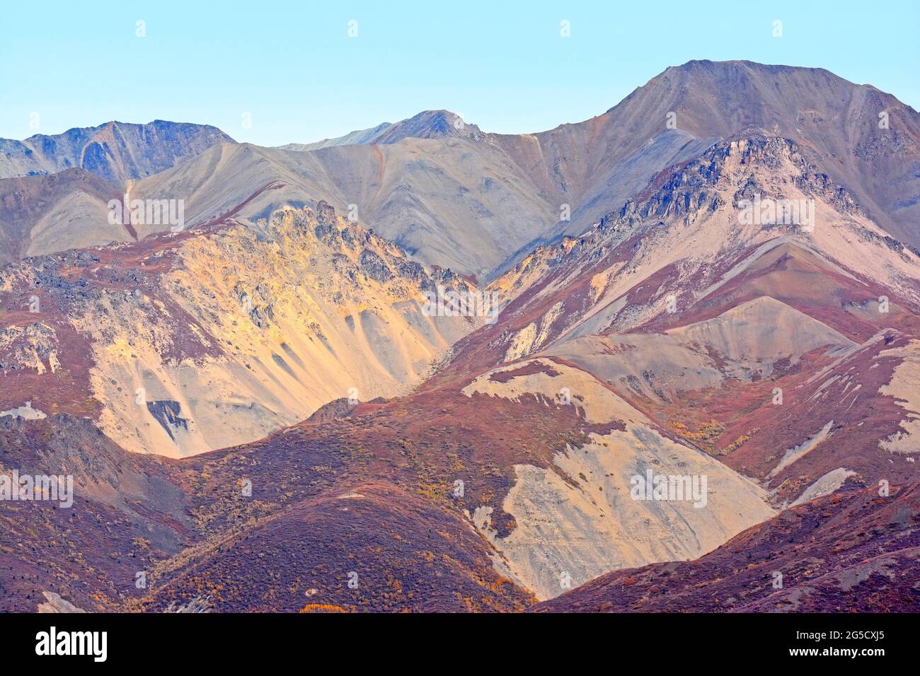 I pendii stagionali della montagna di Denali colori autunnali Foto Stock