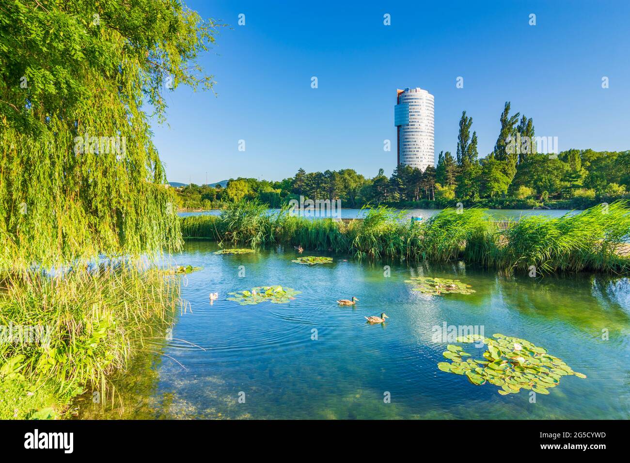 Wien, Vienna: parco Wasserpark, laghetto di Biologischer Bodenfilter Alte Donau (filtro biologico del suolo Vecchio Danubio), edificio ufficio Torre Florido nel 21. F Foto Stock