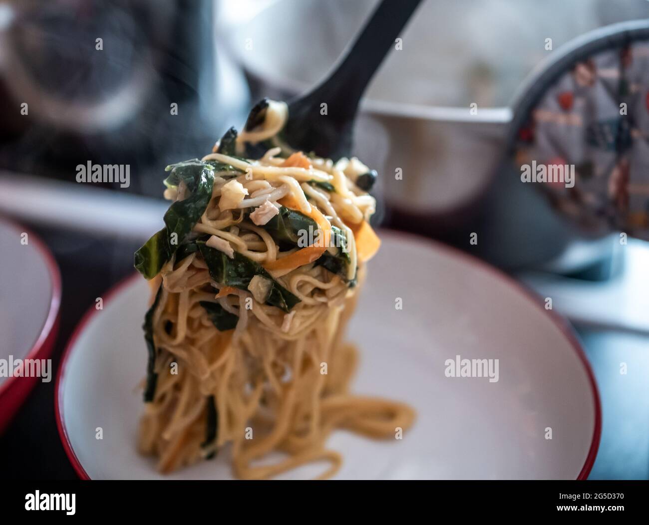 Piastrando e servendo una porzione di pollo cotto in casa, frittura, verdure asiatiche e tagliatelle d'uovo in una ciotola. Messa a fuoco selettiva, profondità di campo poco profonda Foto Stock
