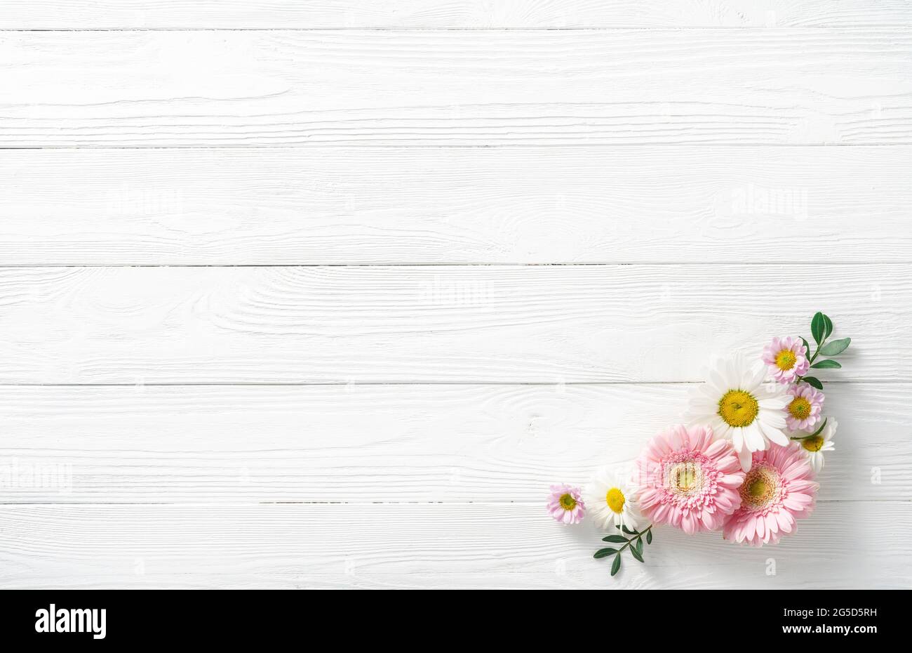Composizione dei fiori. Fiori bianchi su sfondo bianco di legno. Mockup di nozze con fiori rosa e bianchi. Disposizione piatta, vista dall'alto, telaio. Gerbera, camomi Foto Stock