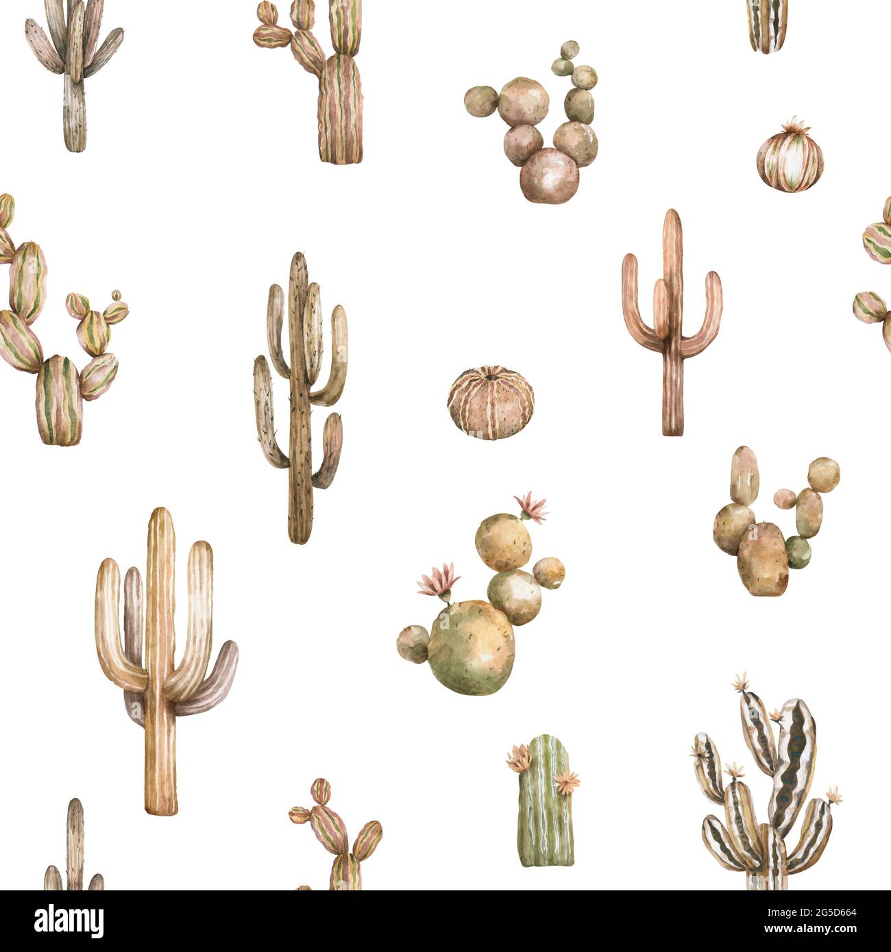 Watercolor motivo cactus senza cuciture sfondo. Cactus marrone bandiera di colore desertico su sfondo bianco Foto Stock