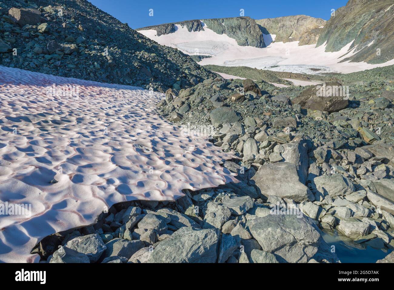 Vicino all'eterno ghiacciaio IGAN in una soleggiata giornata estiva. Polar Ural, Russia Foto Stock