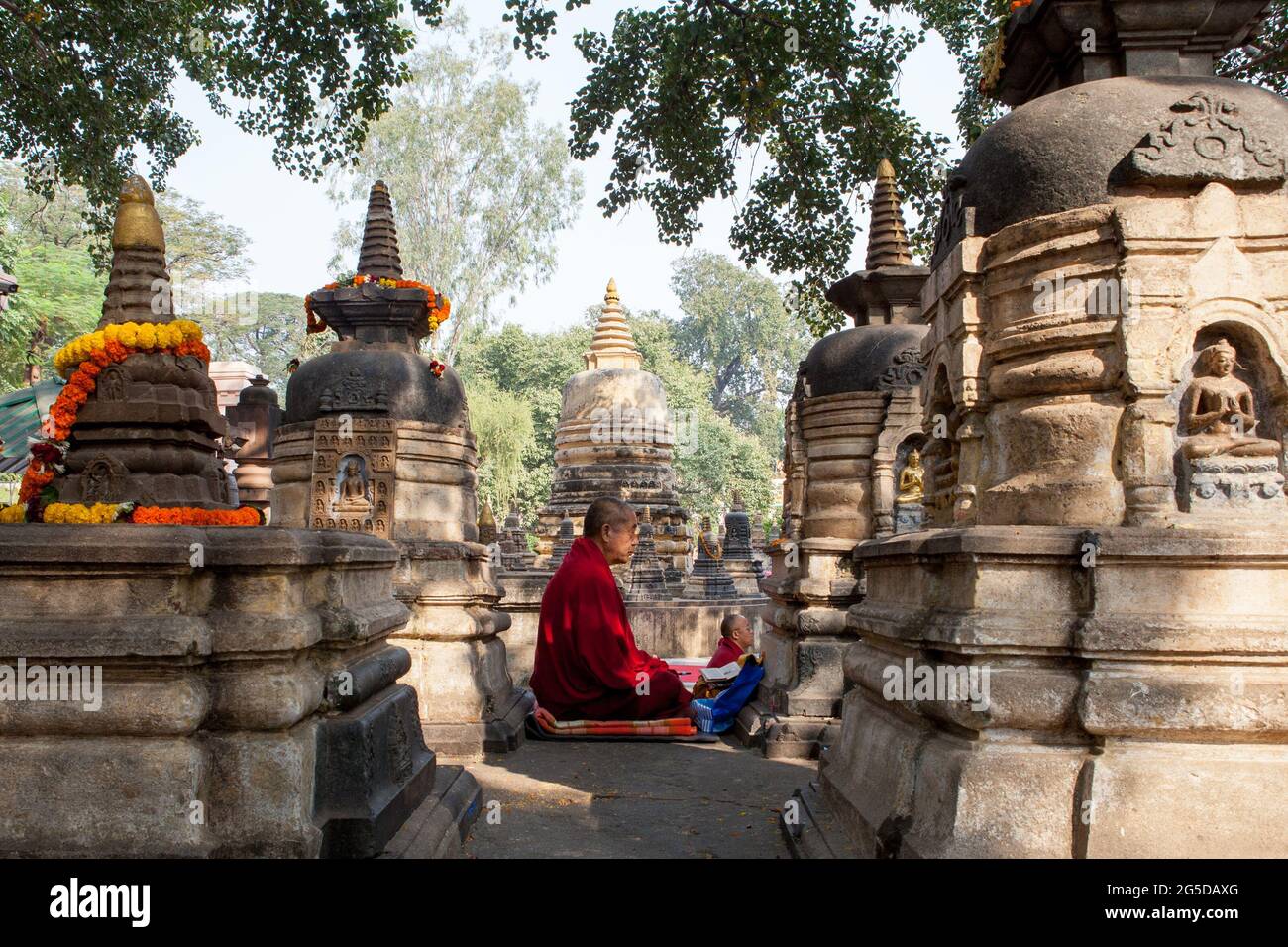 Monaco buddista meditando tra gli stupa al tempio Mahabodhi a Bodhgaya, Bihar, India Foto Stock