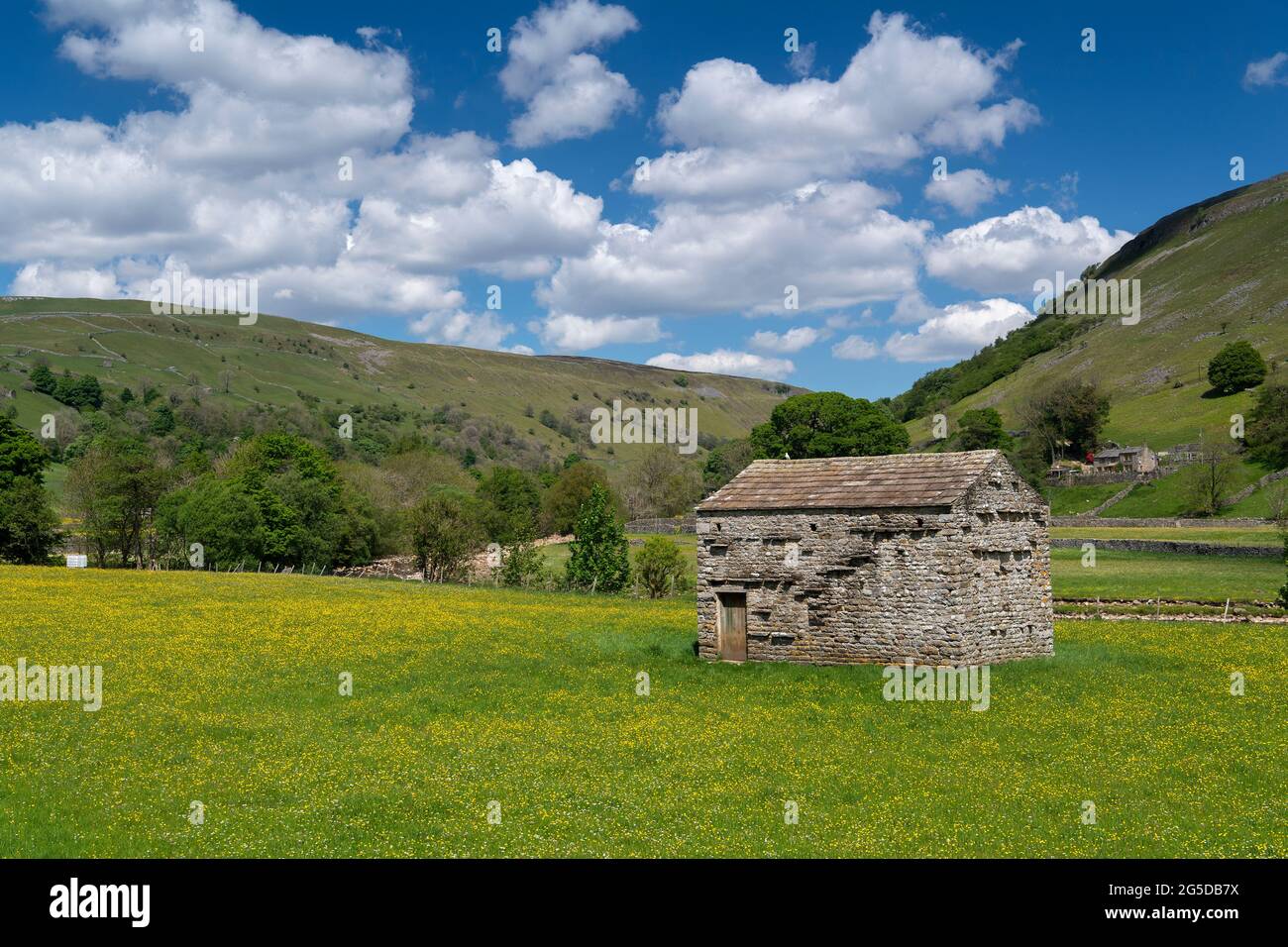 Prati di fiori selvaggi con fienile di pietra tradizionale in, Muker, Swaledale, Yorkshire Dales National Park, Regno Unito. Foto Stock