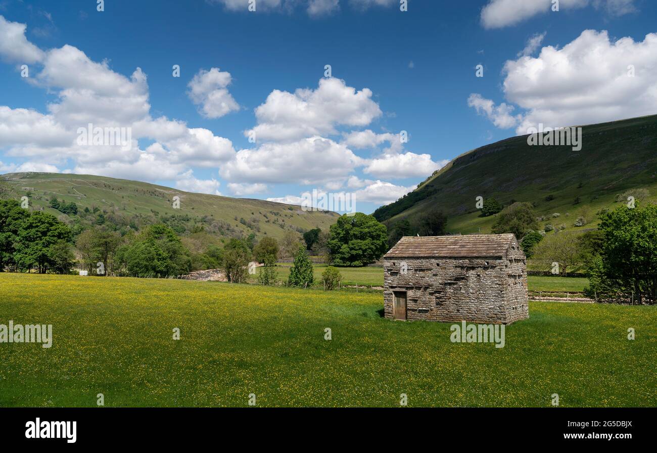 Prati di fiori selvaggi con fienile di pietra tradizionale in, Muker, Swaledale, Yorkshire Dales National Park, Regno Unito. Foto Stock
