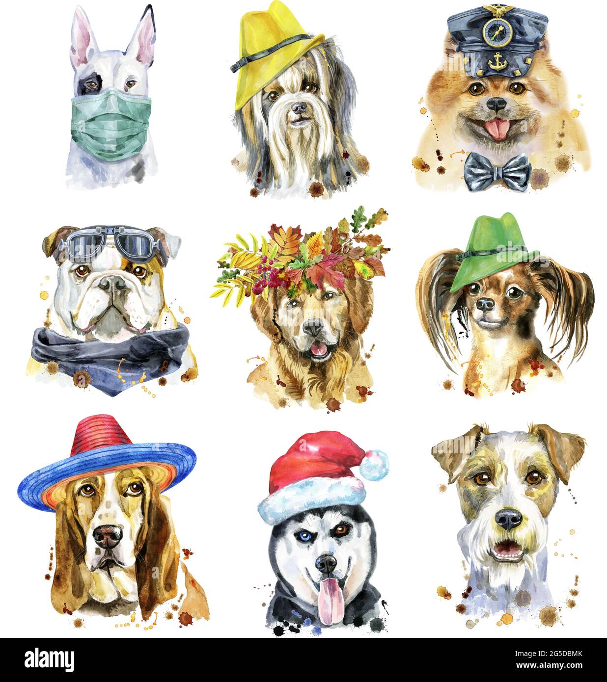 Carino set di ritratti acquerello di cani. Per la grafica della t-shirt. Illustrazione dei cani acquerelli Foto Stock