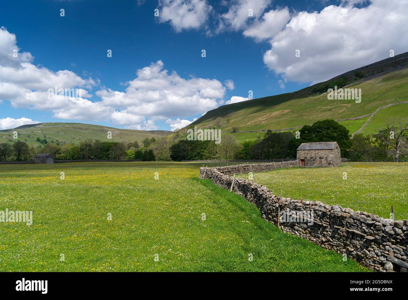 Prati di fiori selvaggi con fienile di pietra tradizionale in, Muker, Swaledale, Yorkshire Dales National Park, Regno Unito. Foto Stock