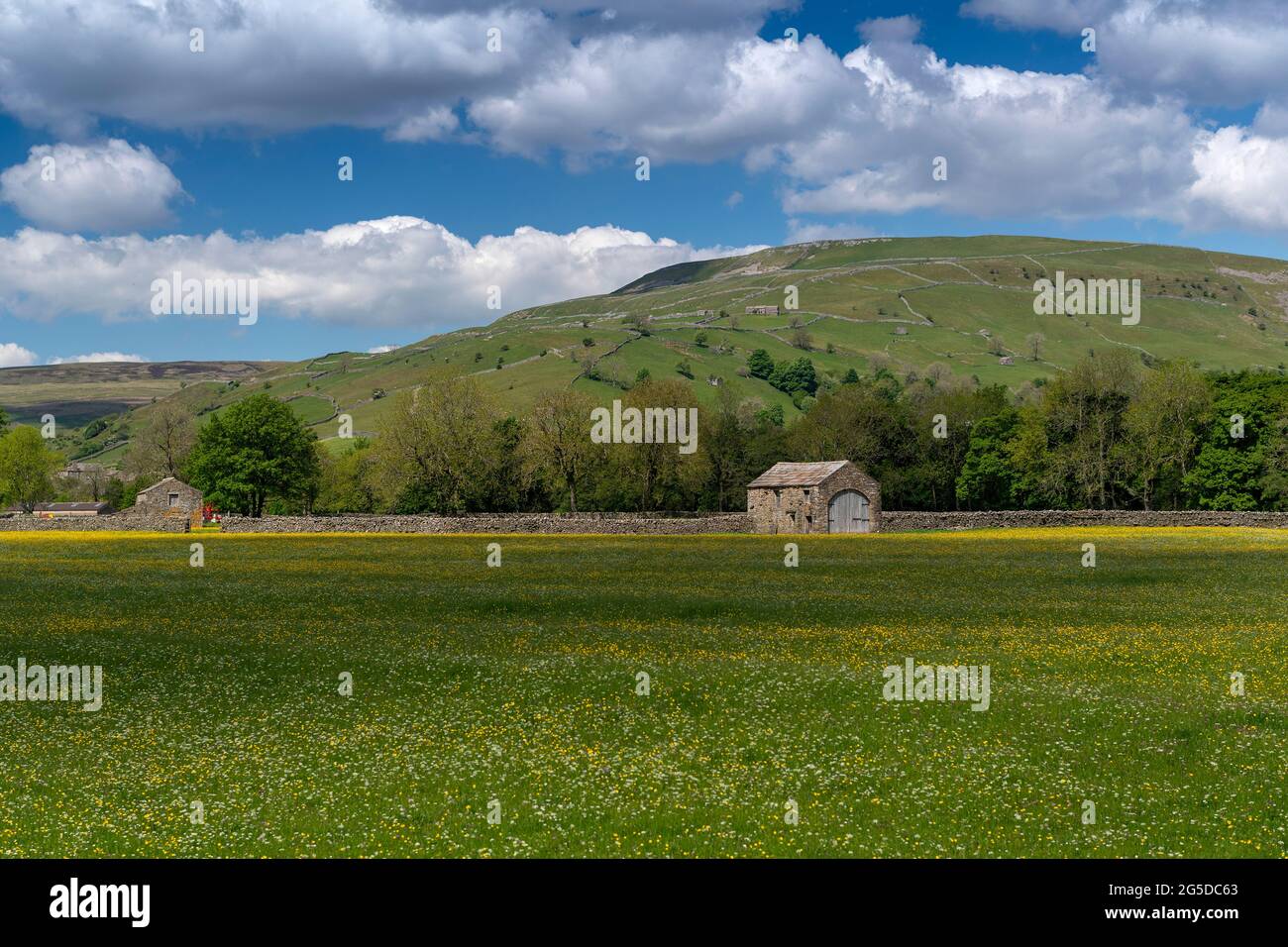 Prati di fiori selvaggi con fienile di pietra tradizionale in, Muker, Swaledale, Yorkshire Dales National Park, Regno Unito. Foto Stock