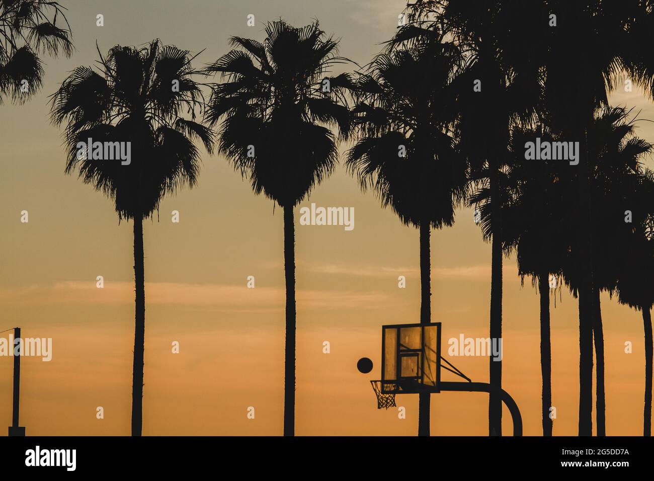 Campo da pallacanestro durante l'ora d'oro con palme a LOS ANGELES Foto Stock