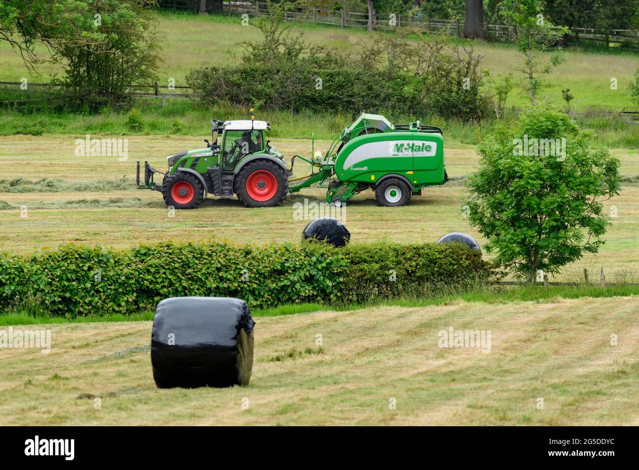 Produzione di fieno o insilato (coltivatore in trattore agricolo al lavoro in campo rurale che traina rotopressa, raccogliendo erba secca e balle rotonde avvolte - Yorkshire Inghilterra, Regno Unito. Foto Stock
