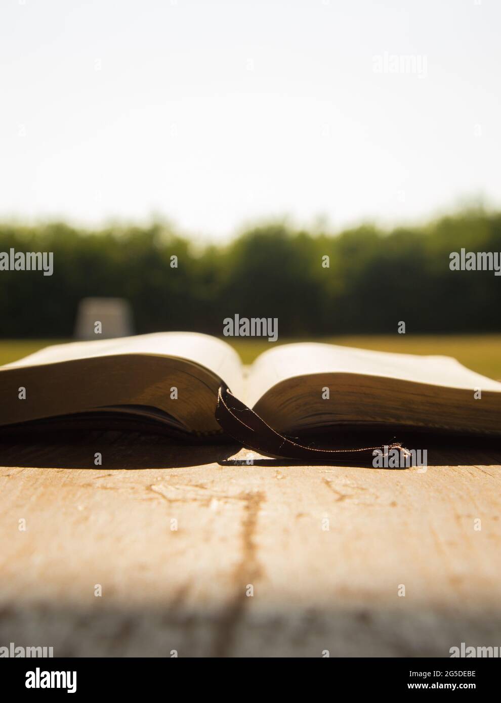 Bibbia su una tavola di legno alla luce del sole Foto Stock