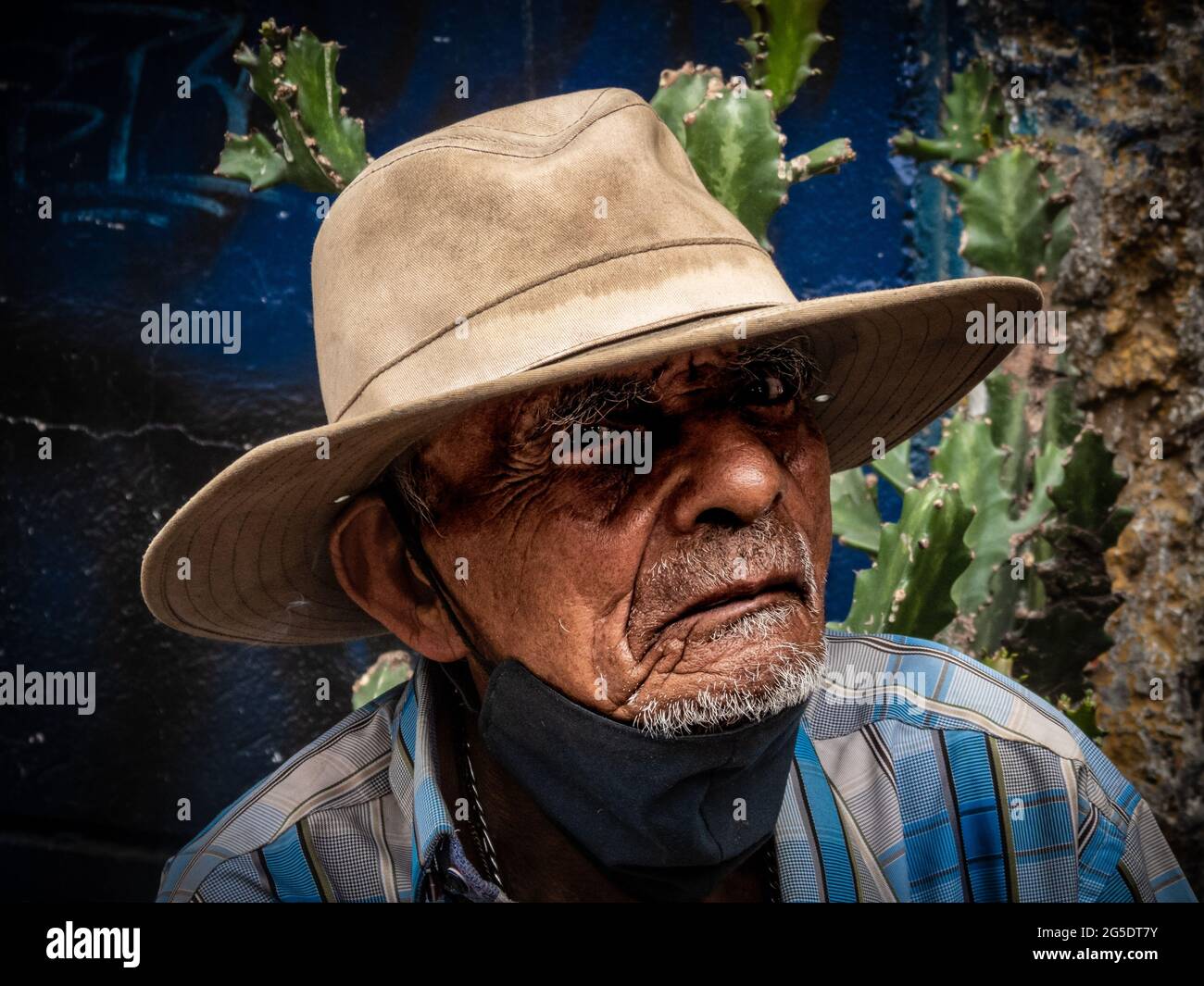 señor Foto Stock