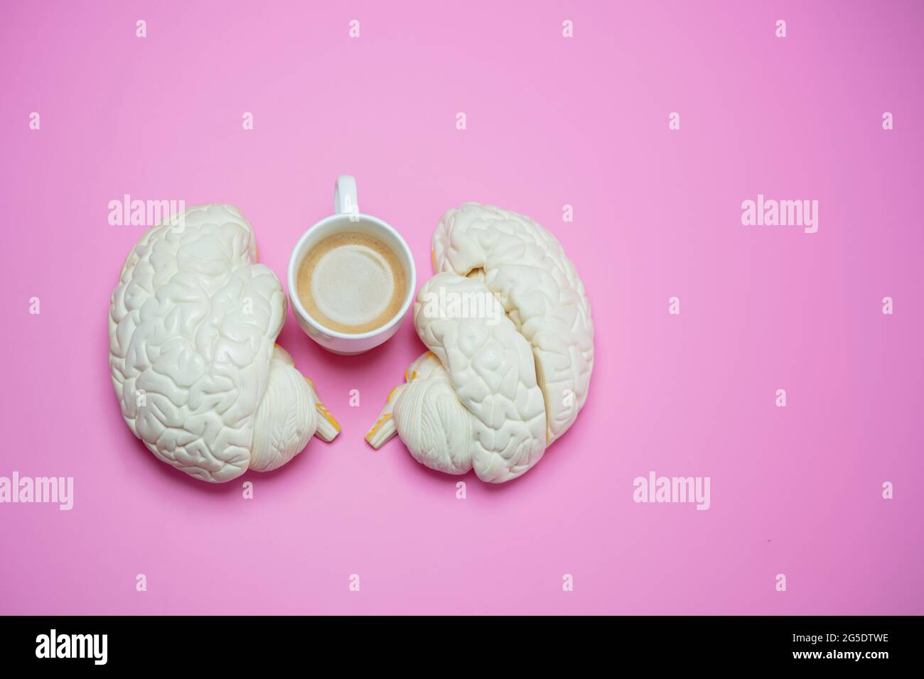 Il cervello non funziona senza il concetto di caffè con la tazza Foto Stock