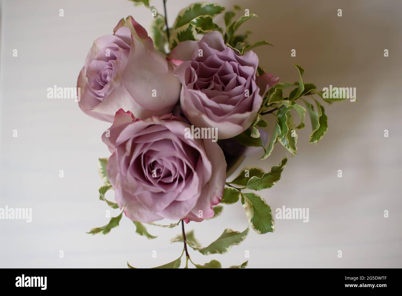 Vista dall'alto del bouquet di rose rosa fusky Memory Lane, semplice disposizione floreale di nozze per il tavolo della sposa o delle bridesmaids Foto Stock