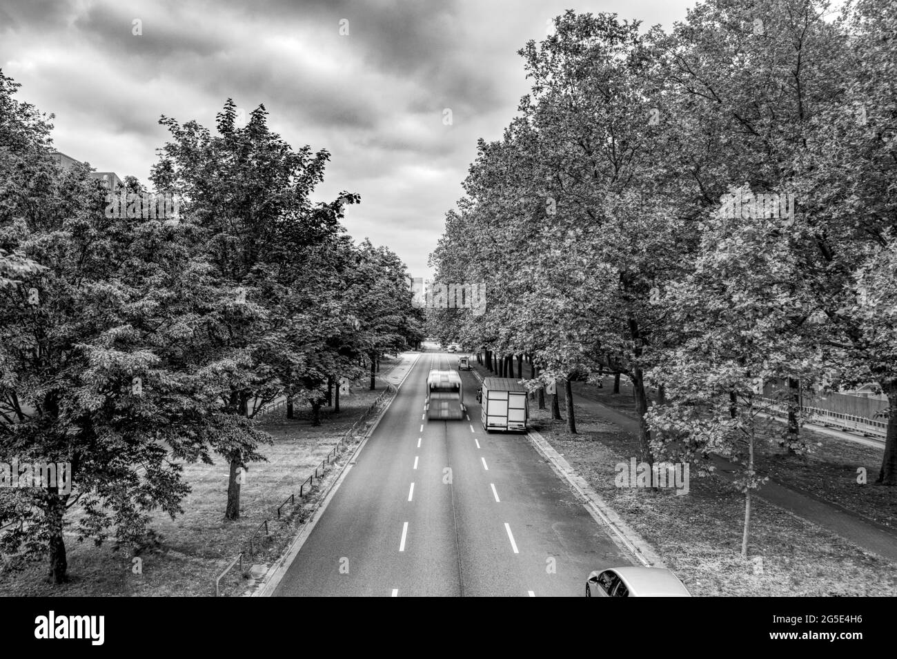 vista panoramica di una strada alberata con poco traffico in bianco e nero Foto Stock
