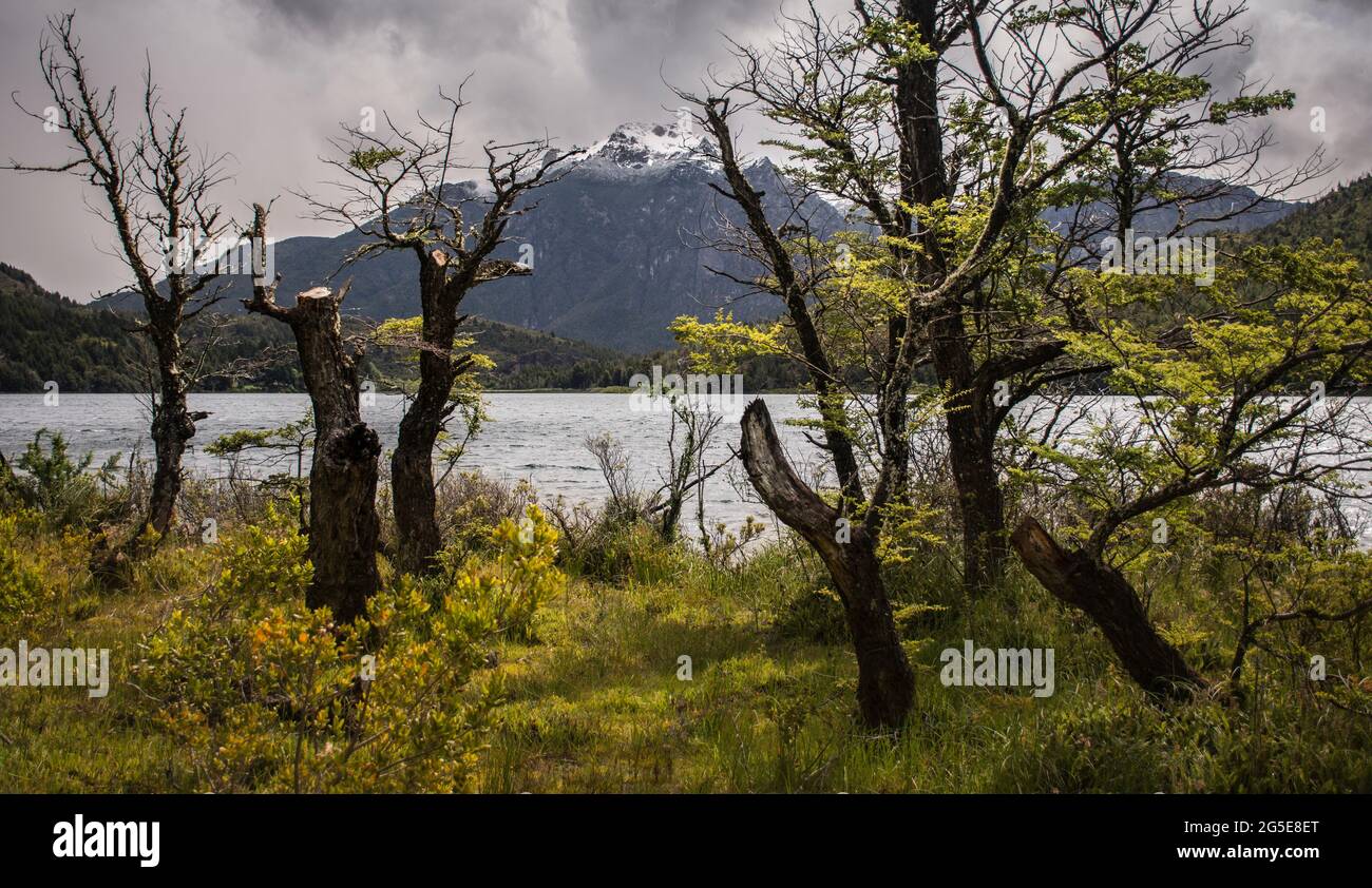 Cima di una montagna innevata dopo una giornata nuvolosa in Patagonia Argentina. Foto Stock