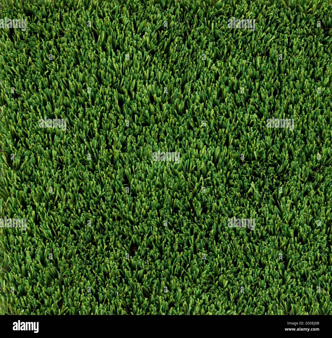 Erba erbosa artificiale verde in vista dall'alto Foto Stock