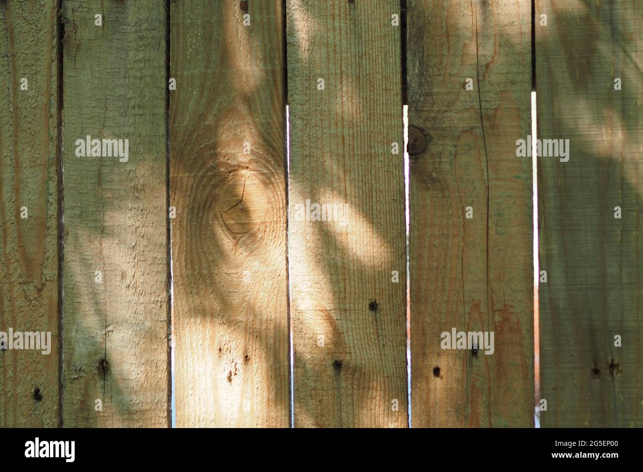 Recinzione di legno. Struttura recinzione di legno. Foto Stock