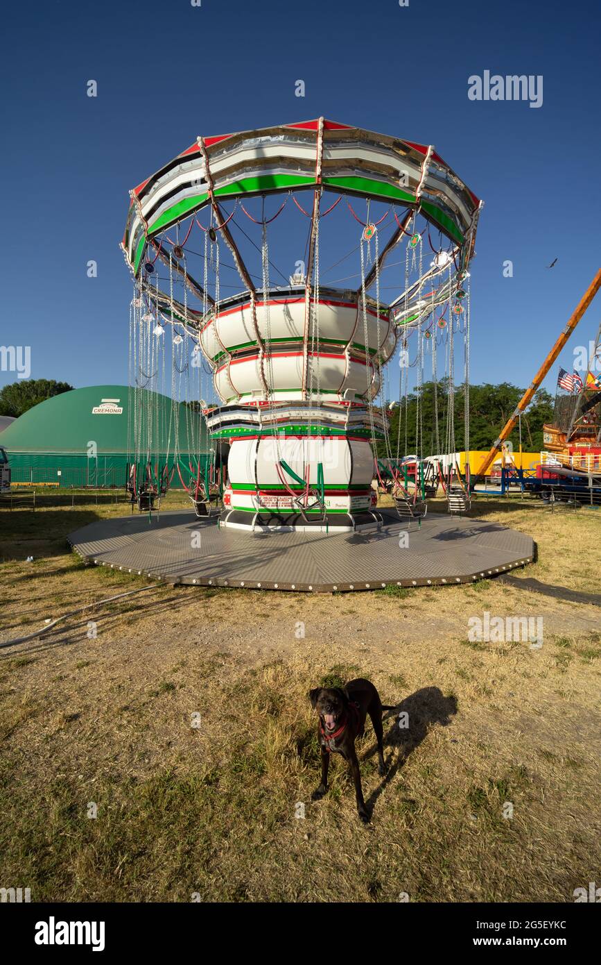 Idle chair swing ride attraction (con cane) in un parco divertimenti nel nord Italia Foto Stock