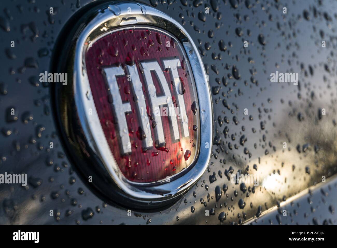 Primo piano esterno di un logo Fiat Car Company sul retro di una Fiat 500  grigia coperta di gocce d'acqua Foto stock - Alamy